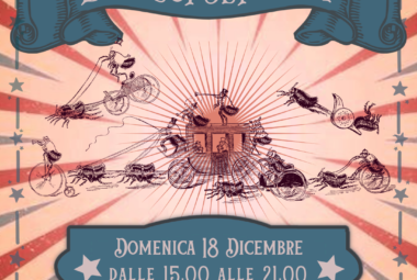  immagine 18 dicembre: LE PULCI DEI GERMI