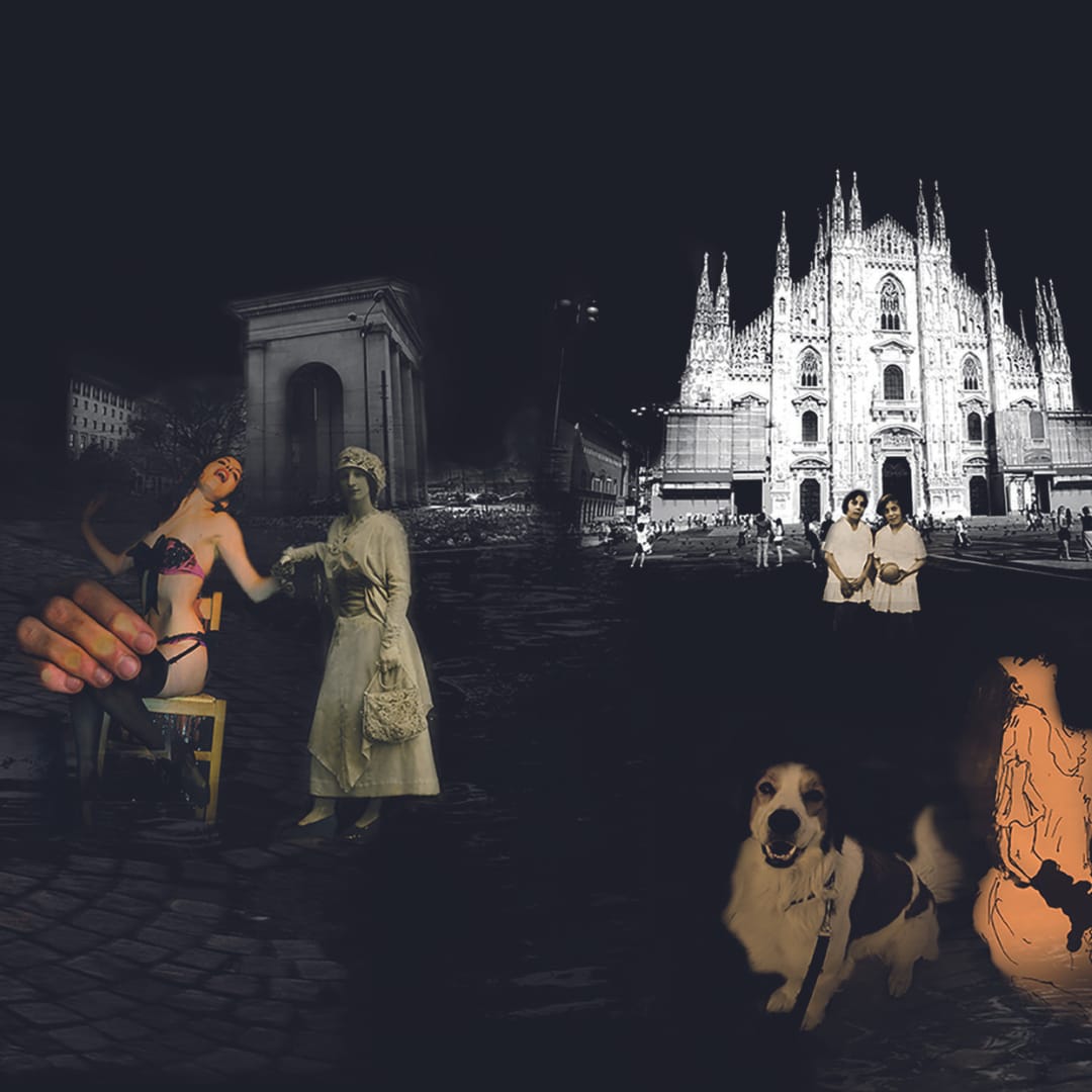 Immagine Serierebus di giulia roncucci