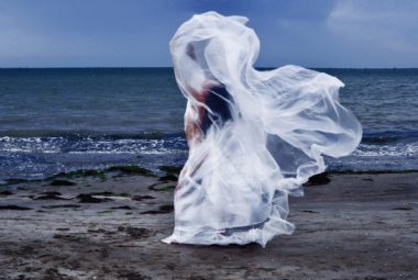 immagine 14 aprile: dagger moth DI SARA ARDIZZONI
