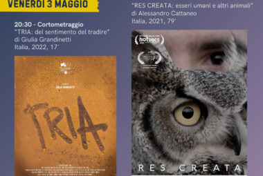  immagine 3 maggio: proiezione di “Tria” e “Res Creata”